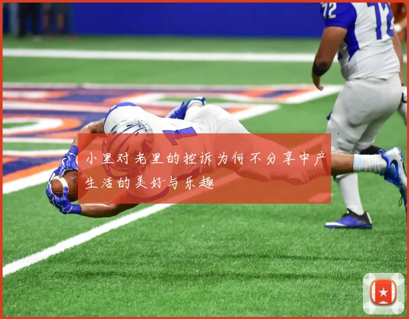 小里对老里的控诉为何不分享中产生活的美好与乐趣