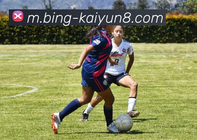 App Interface Preview