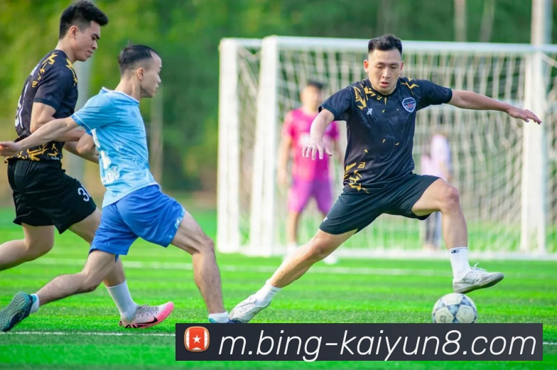 开云体育APP 封面图